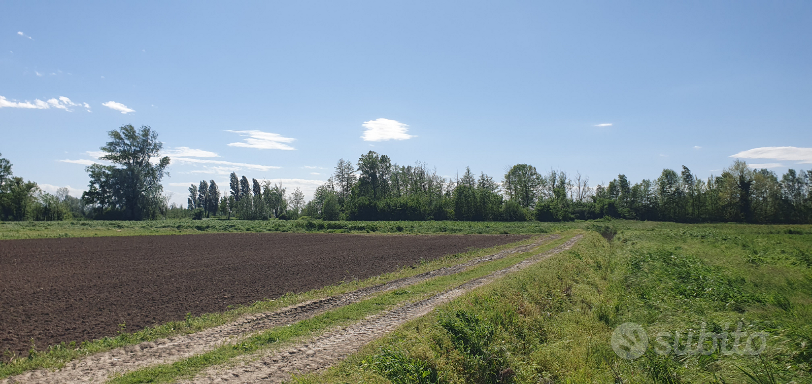 Cascina con terreno seminativo irriguo LODI - Vista 6
