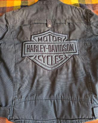 Giacca moto uomo in tessuto Harley Davidson