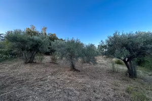 TERRENO AGRICOLO