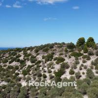 TERRENO AGRICOLO LOC. SANTA BARBARA,SORSO