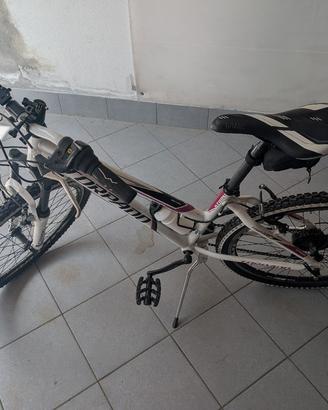 MTB Torpado da donna T591