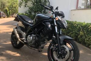 gladius 650