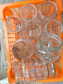 Lotto intero barattoli e bottiglie per conserva 