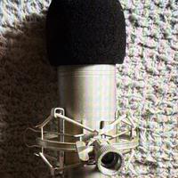 Microfono da studio a condensatore