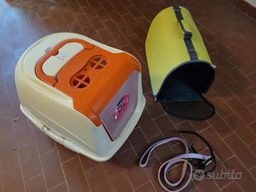 lotto accessori gatto