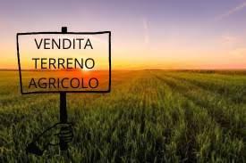 Terreno di 740000 m² a Sala Bolognese