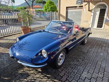 Alfa Romeo Duetto 115 35  spider 1600cc del 1978