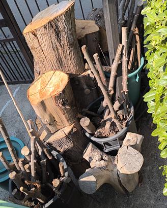 Legna da ardere Cipresso