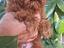Immagine 5