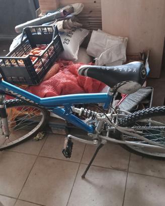 bicicletta mountain bike