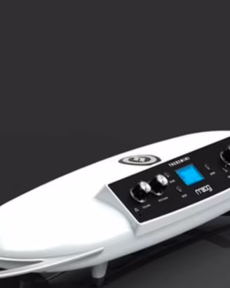 Moog theremini 