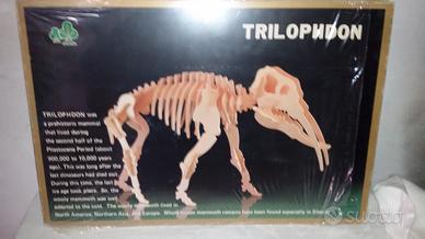 Sauri da costruire in legno