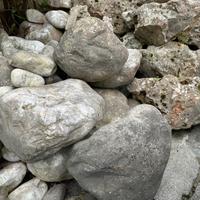 Pietre ornamentali da giardino