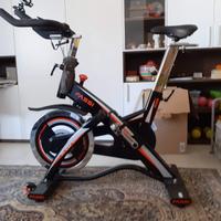 Fit Bike Fassi R26 Club