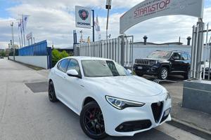 Alfa Romeo Stelvio 2.2 Turbodiesel 210 CV AT8 Q4 V