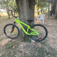 Rockrider 100