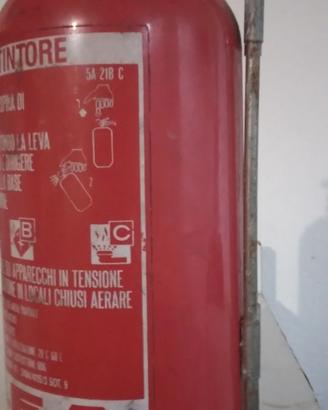 Estintore per auto