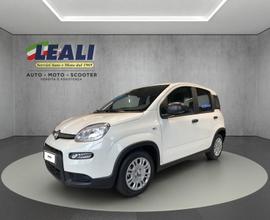 FIAT Panda 1.0 FireFly Hybrid 70cv 6m Pandina