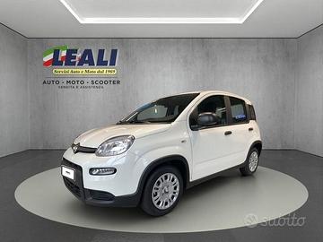 FIAT Panda 1.0 FireFly Hybrid 70cv 6m Pandina