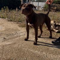 Disponibile per monte