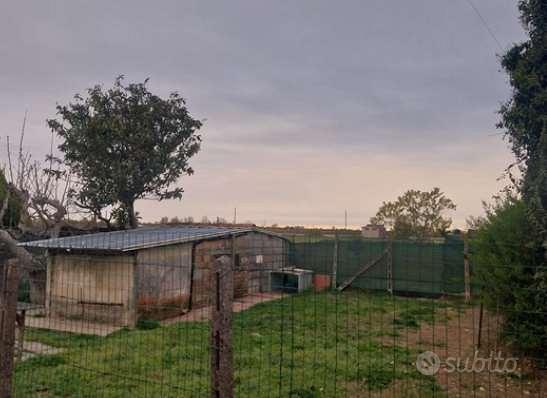 Appartamento – Terrazzo, Torrano - Altro