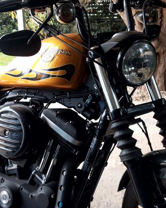 Harley Davidson Iron 883 Hard Candy