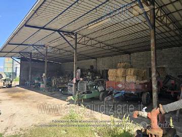 Azienda Agricola Trevi [A4346485]