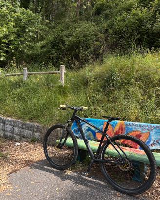 mtb lee cougan