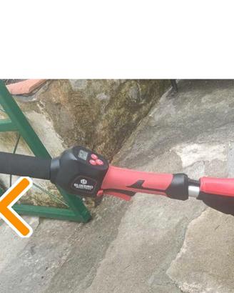 tagliasiepi bluebird 