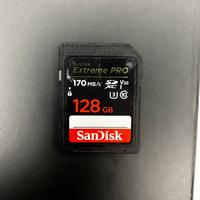 Schede SD Sandisk