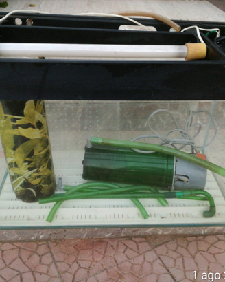 Acquario 60 litri completo