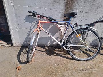 bicicletta mountan + donna
