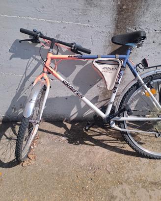 bicicletta mountan + donna