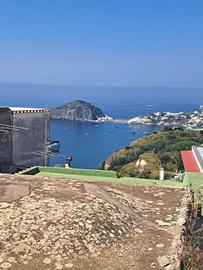 Casa vacanze a Testaccio Barano d'Ischia