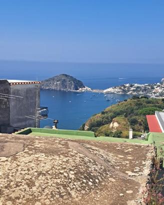 Casa vacanze a Testaccio Barano d'Ischia