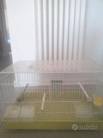 Gabbia uccelli