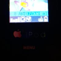 APPLE I POD 1 GB 2006 