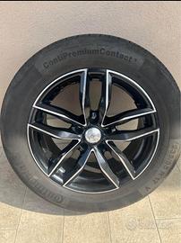 Gomme estive con cerchio