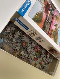 Puzzle 1000 pezzi