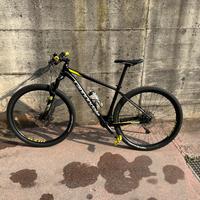 Cannondale Trail