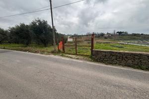 Albano Laziale vende Terreno MQ5000 con tendone