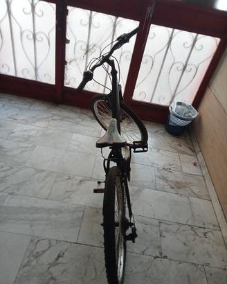 bici mountain bike 