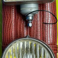 Fendinebbia carrello