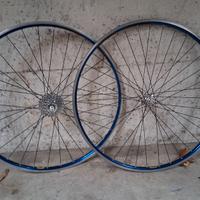Ruote corsa Ambrosio/Campagnolo blu