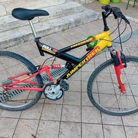 Bici  mountain bike, 26 pollici .