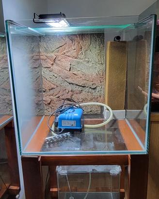 acquarium
