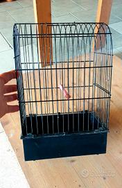 Gabbia uccelli 