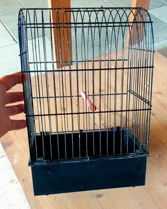 Gabbia uccelli 