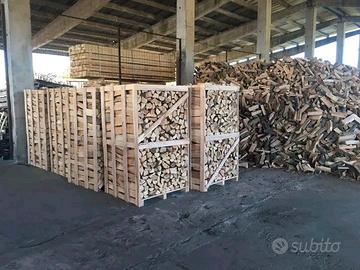 FAGGIO SECCO LEGNA DA ARDERE