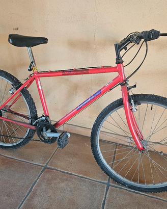 Mountain bike Legnano anni ’90 